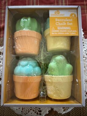 Way To Celebrate Succulent Chalk Set Box of Four Chalk Succulents New Sealed